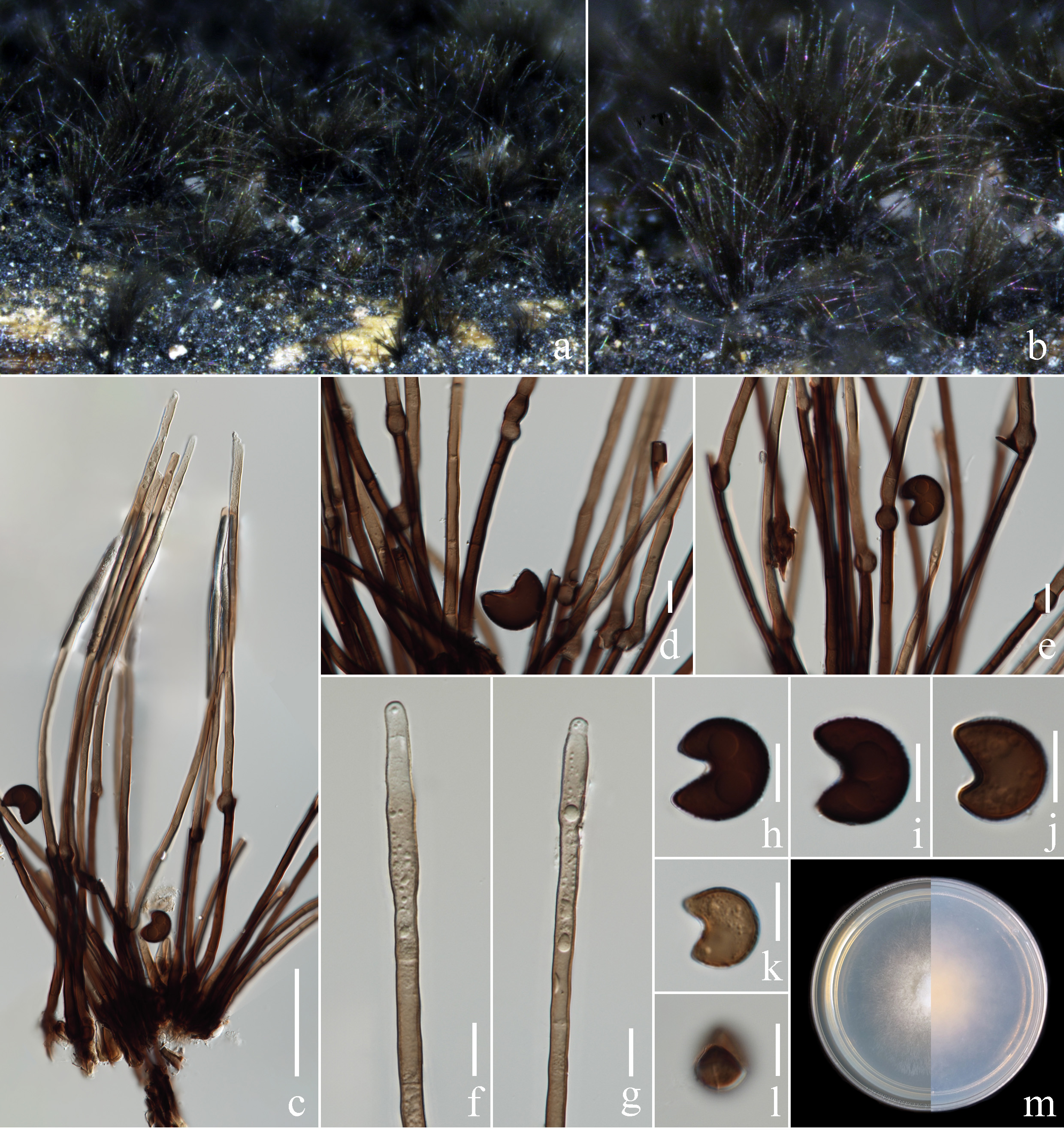 Figure 132